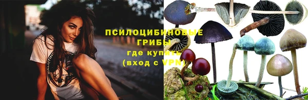 герыч Ступино