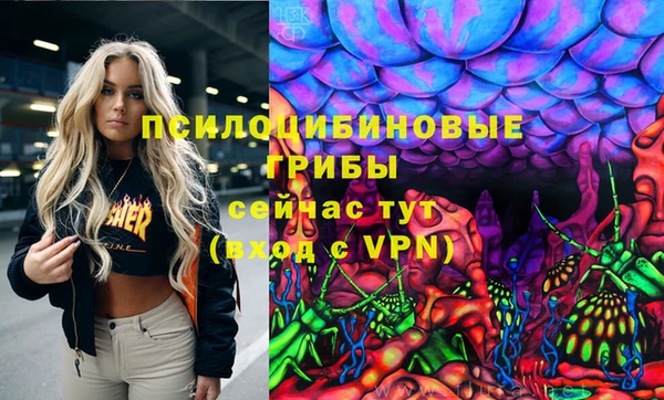СК Беломорск