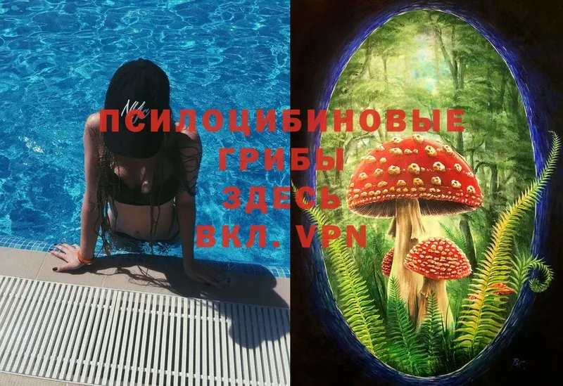 Псилоцибиновые грибы Magic Shrooms  Гатчина 