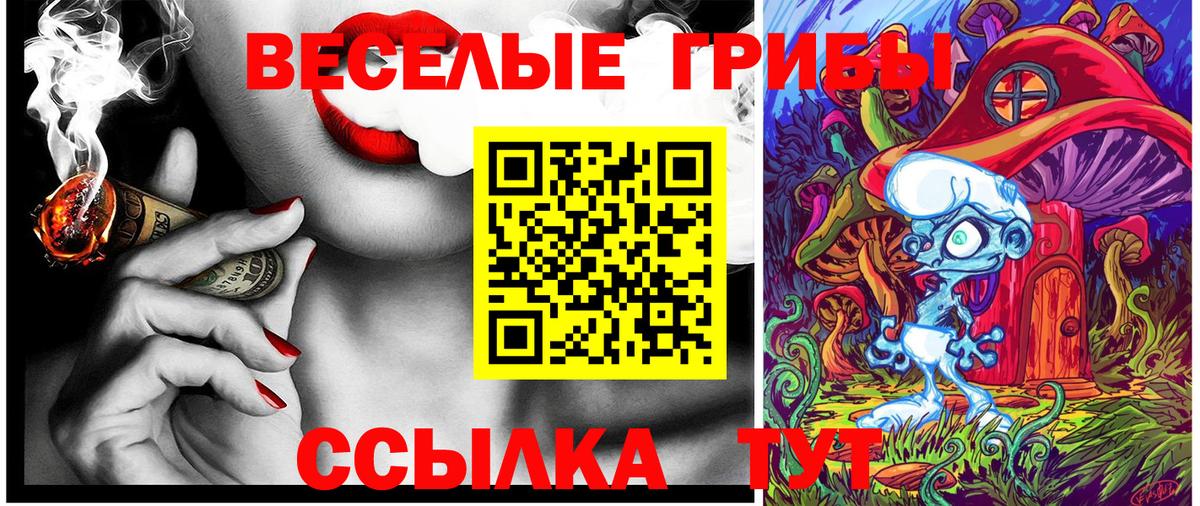 Меф МЯУ МЯУ   Гатчина  ГАШИШ  Гашиш  ГЕРОИН  Бошки Шишки  Вход с VPN  Купить наркотики цена  Конопля 