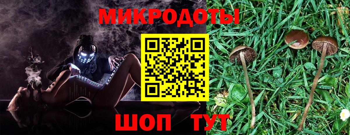 Гатчина  Галлюциногенные грибы Magic Shrooms  Вход с VPN  Галлюциногенные грибы GOLDEN TEACHER 