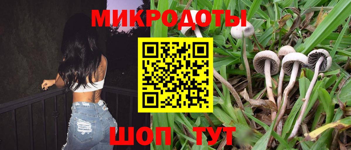 Псилоцибиновые грибы ЛСД  Гатчина  Галлюциногенные грибы мухоморы 